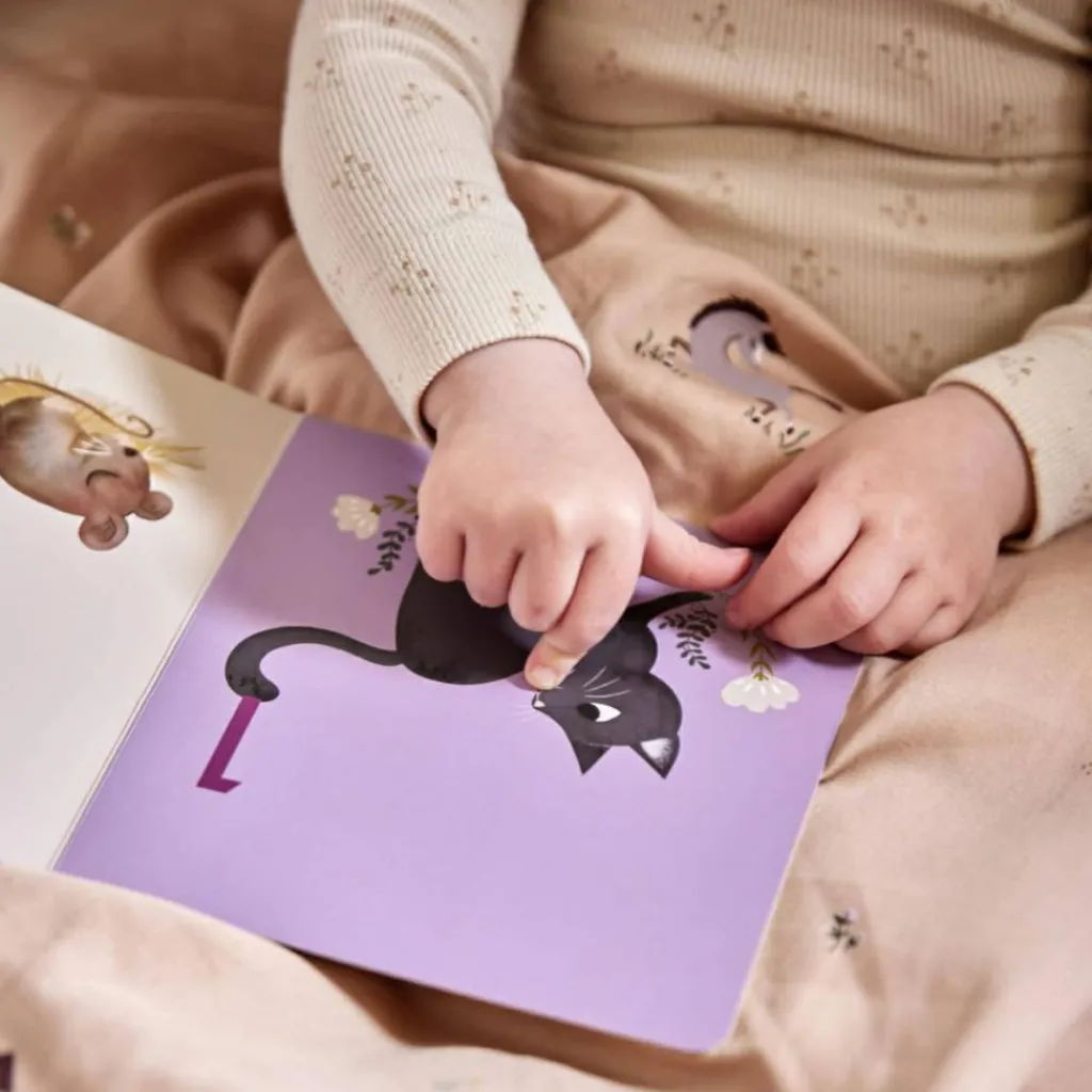 Livre bébé Compter jusqu'à 10 Premiers Livres