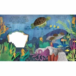 Best Livre Bonne nuit, l'océan ! Premiers Livres