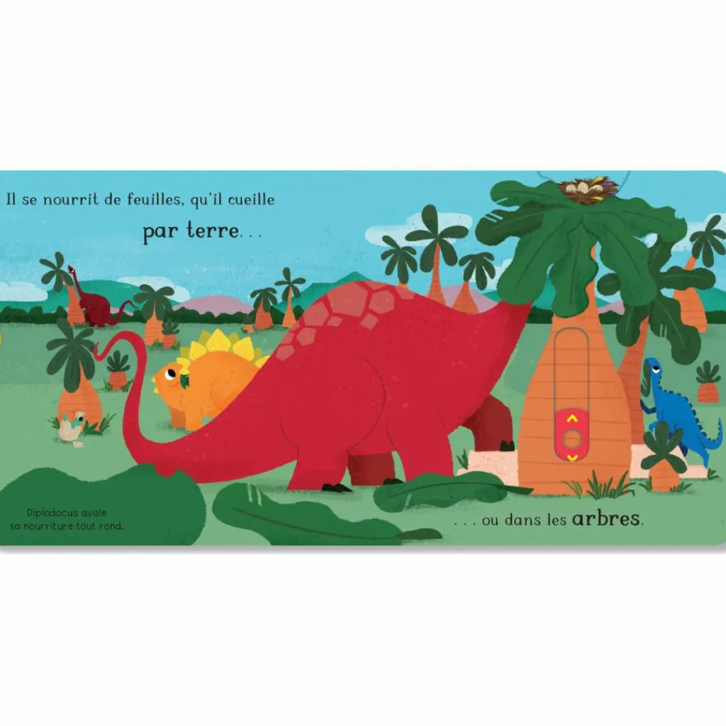 Discount Livre Le diplodocus Imagier