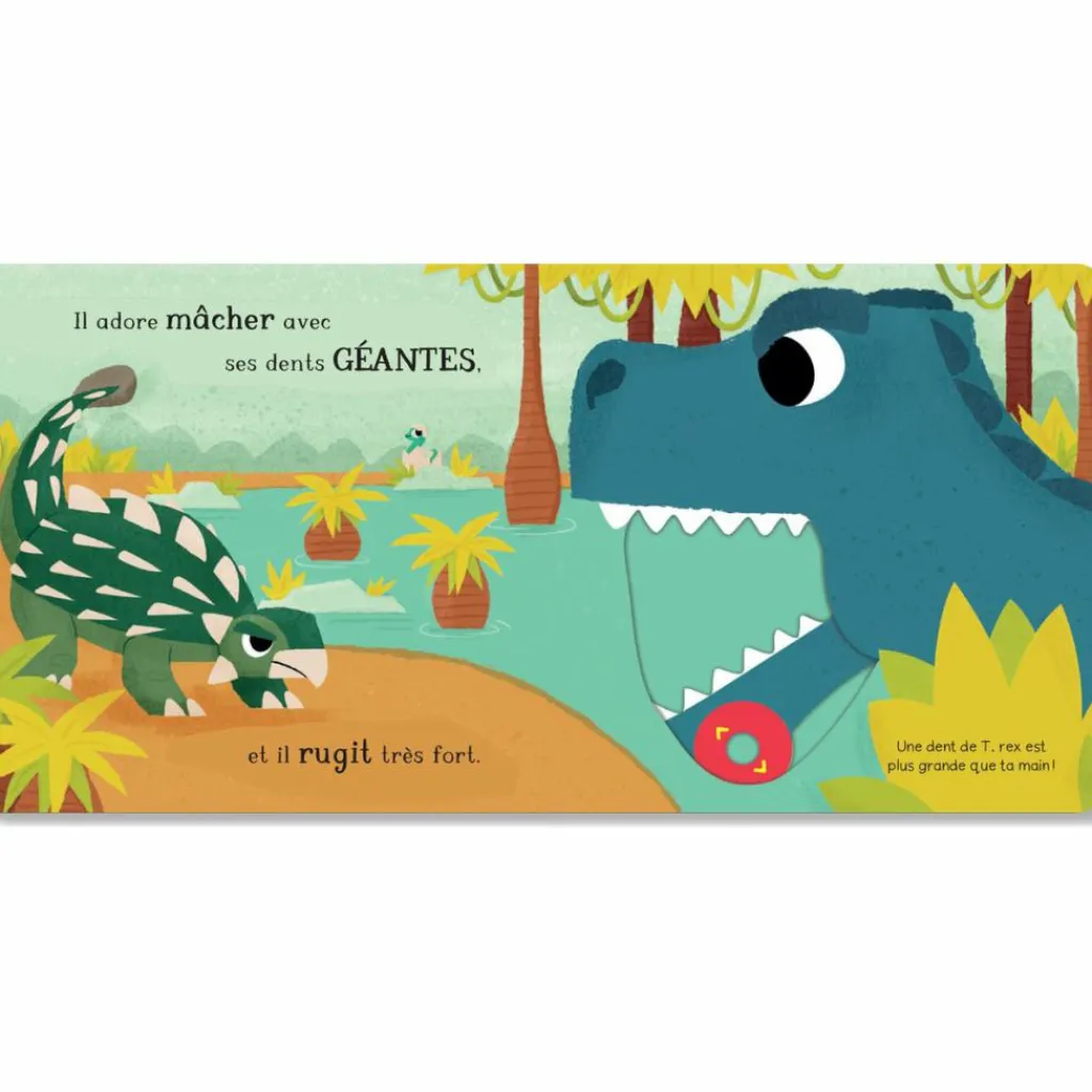 Clearance Livre Le tyrannosaure Imagier