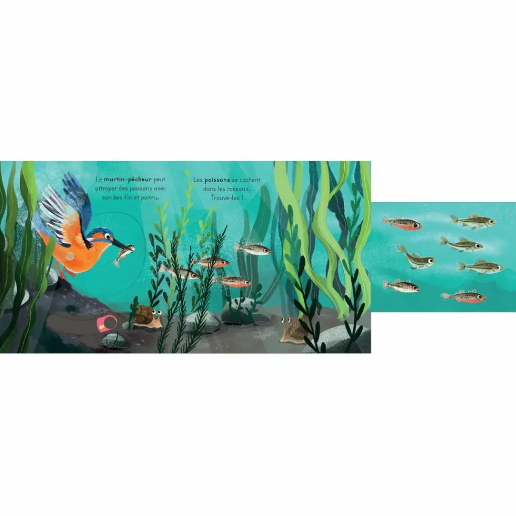 Sale Livre les petits explorateurs - La rivière Imagier