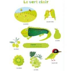 Outlet Livre Mes premières couleurs à toucher Imagier