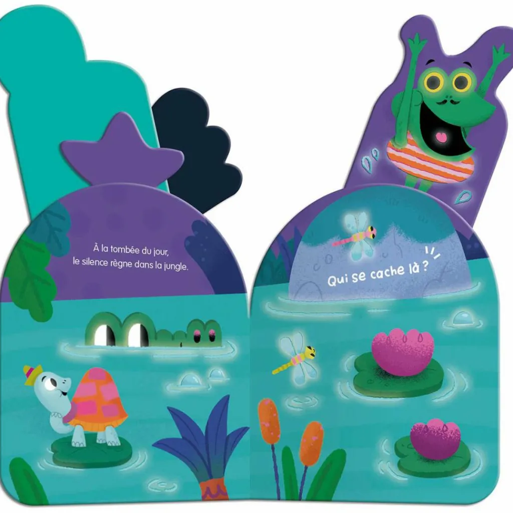 Discount Livre Mon coucou sonore Qui se cache dans la nuit ? Livre Sonore