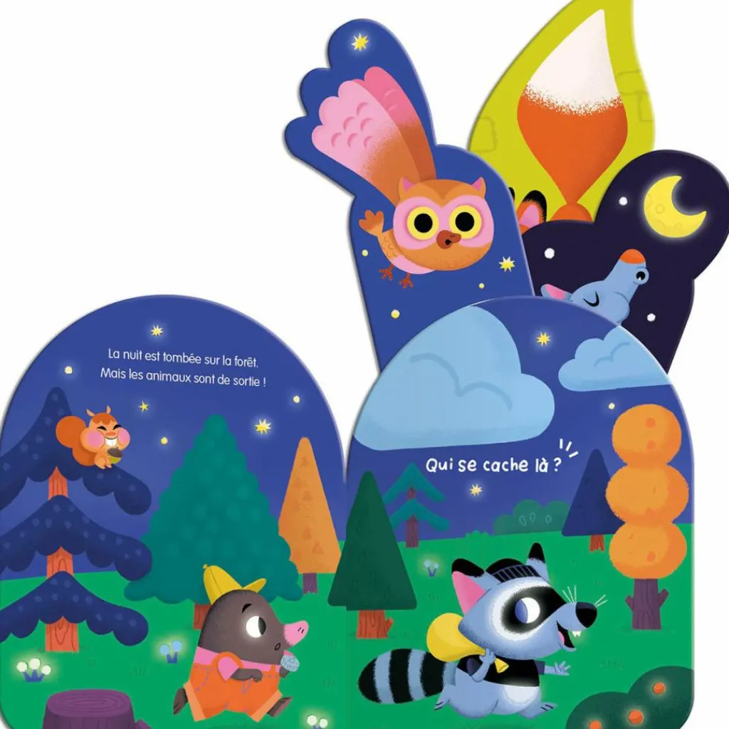 Discount Livre Mon coucou sonore Qui se cache dans la nuit ? Livre Sonore