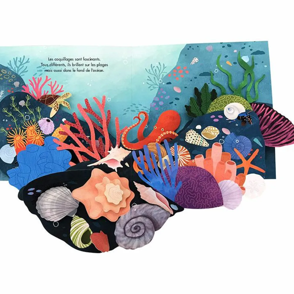 New Livre pop-up Trésors de l'Océan Enfant Livre Enfant
