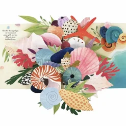 New Livre pop-up Trésors de l'Océan Enfant Livre Enfant