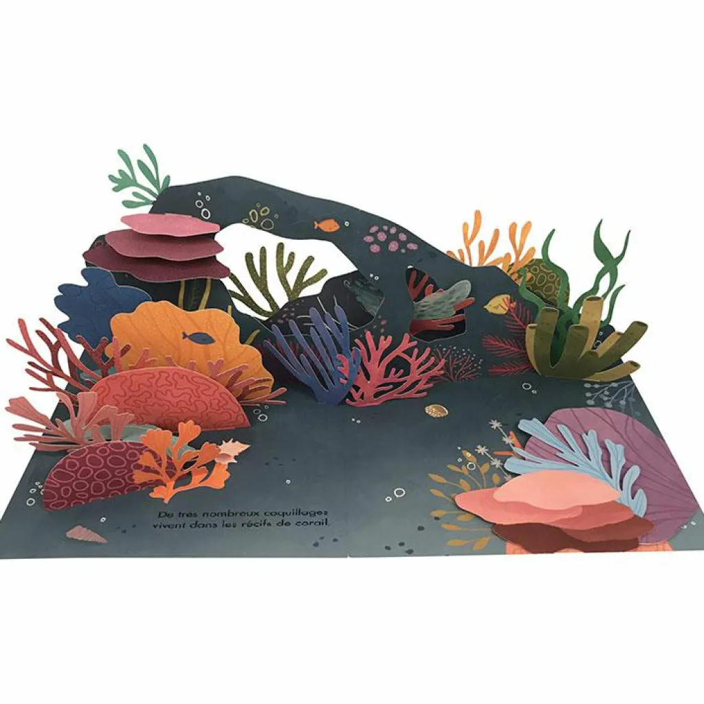 New Livre pop-up Trésors de l'Océan Enfant Livre Enfant