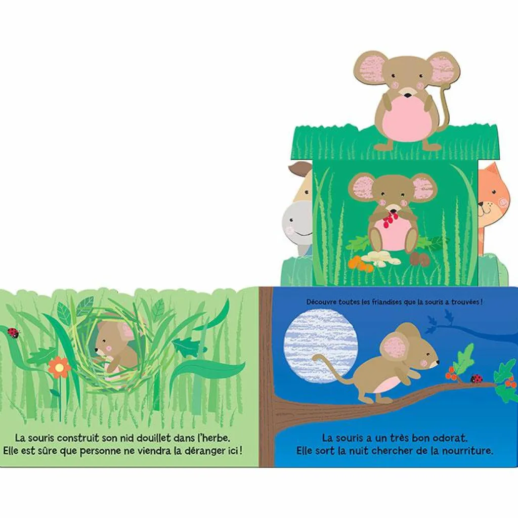 Livre Qui se cache dans le jardin ? Premiers Livres