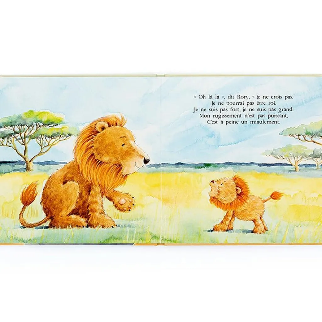 Online Livre Rory le courageux petit lion Premiers Livres
