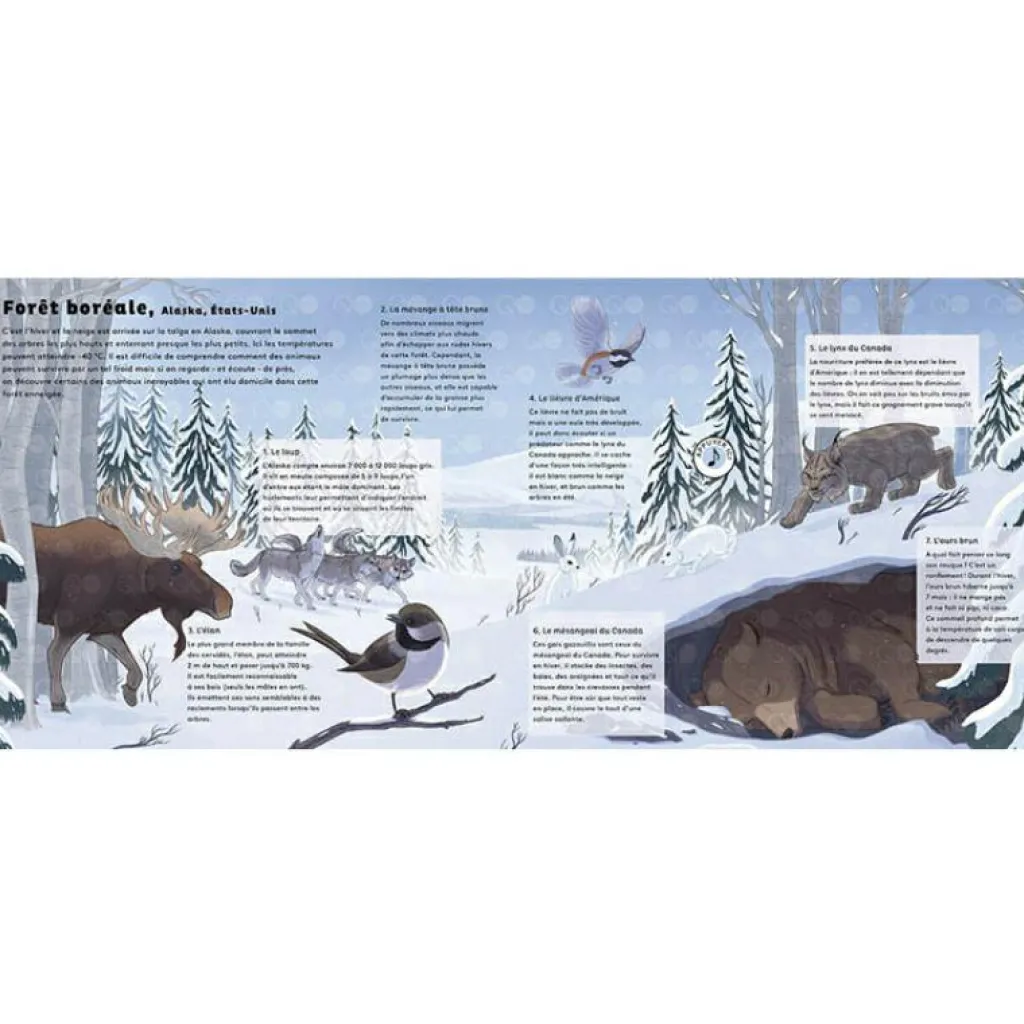 New Livre sonore Le monde des forêts (collection Les sons de la nature) Enfant Livre Enfant