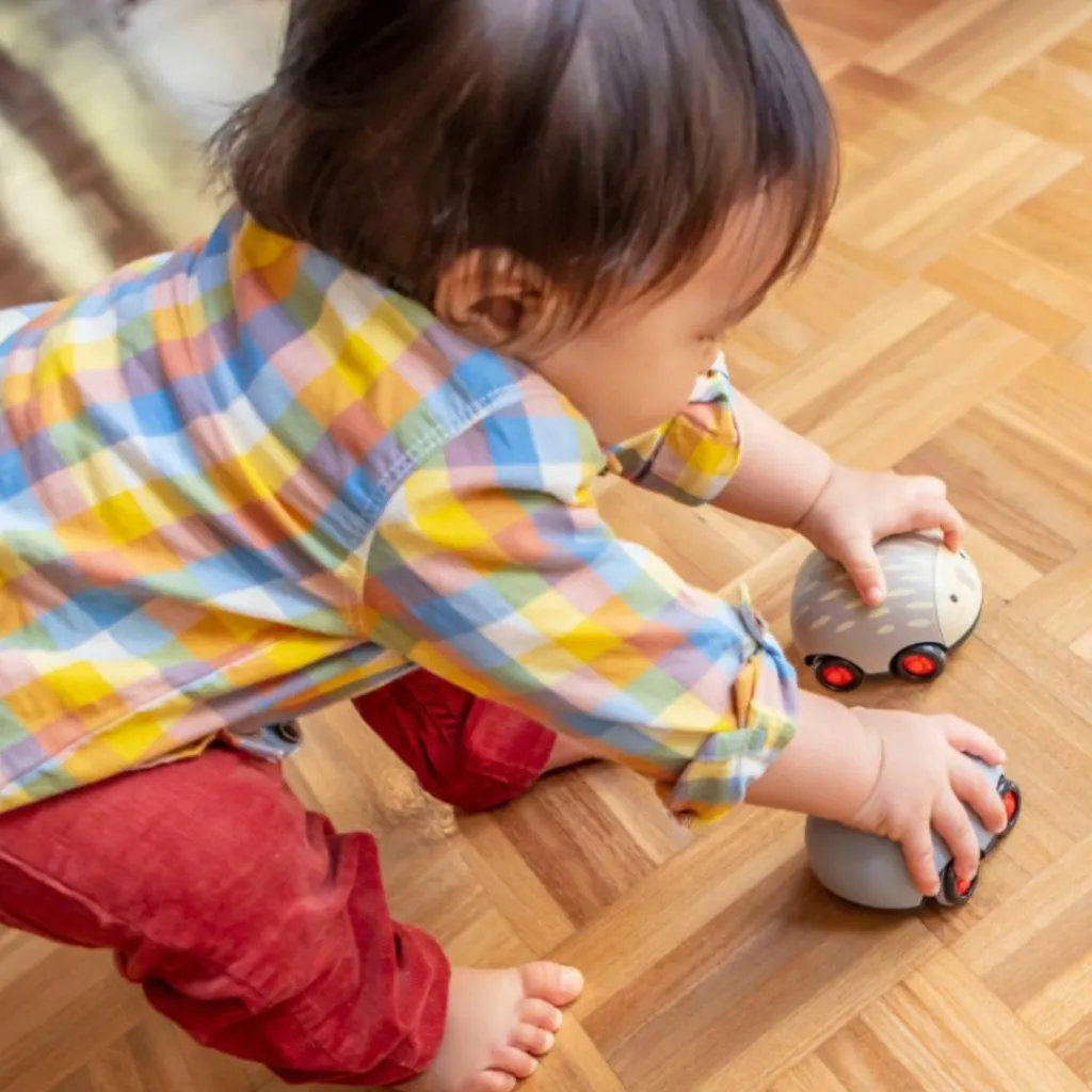 Outlet Lot de 2 véhicules à friction animaux australiens Petites Voitures, Véhicules Et Circuits