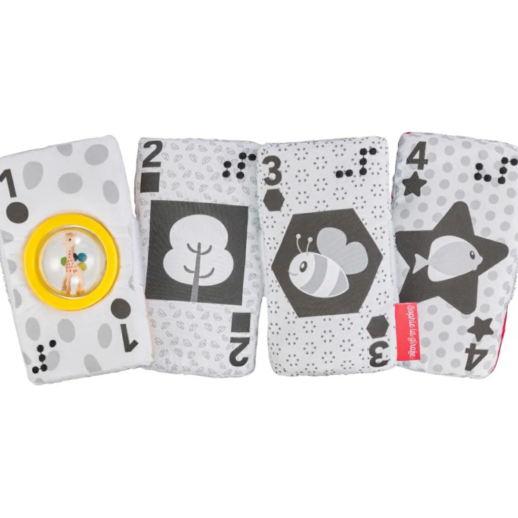 Outlet Mes cartes sensorielles (jouet inclusif en braille) Imagier