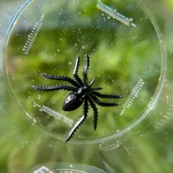 Clearance Méga boîte loupe Découverte du Monde Jeu D'Observation