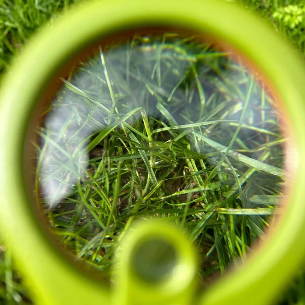 Hot Méga loupe Découverte du Monde Jeu D'Observation