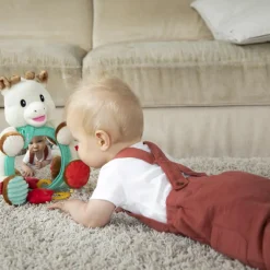 Online Miroir d'activités multi-supports Jouet D'Activités