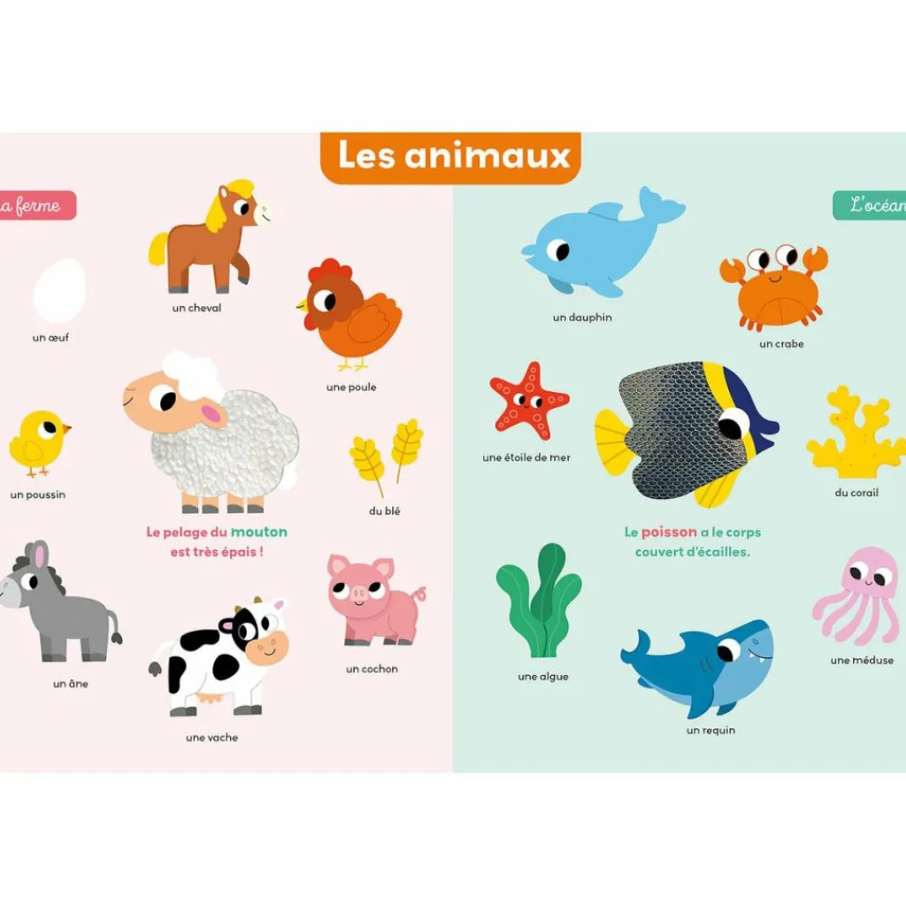 Mon premier imagier à toucher Imagier