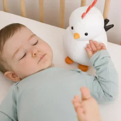 Hot Paulette la Poule Les Animaux Musicaux Peluche Musicale