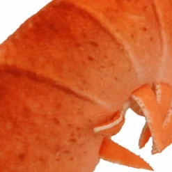 Peluche Barbecue Langouste (30 cm) Peluche Moyenne (20-59 Cm)