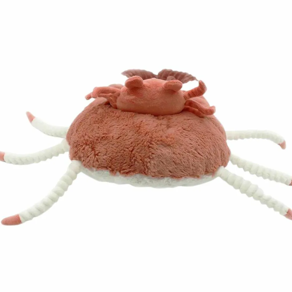 Sale Peluche Cassecou le crabe et son bébé terracotta (39 cm) Peluche Moyenne (20-59 Cm)