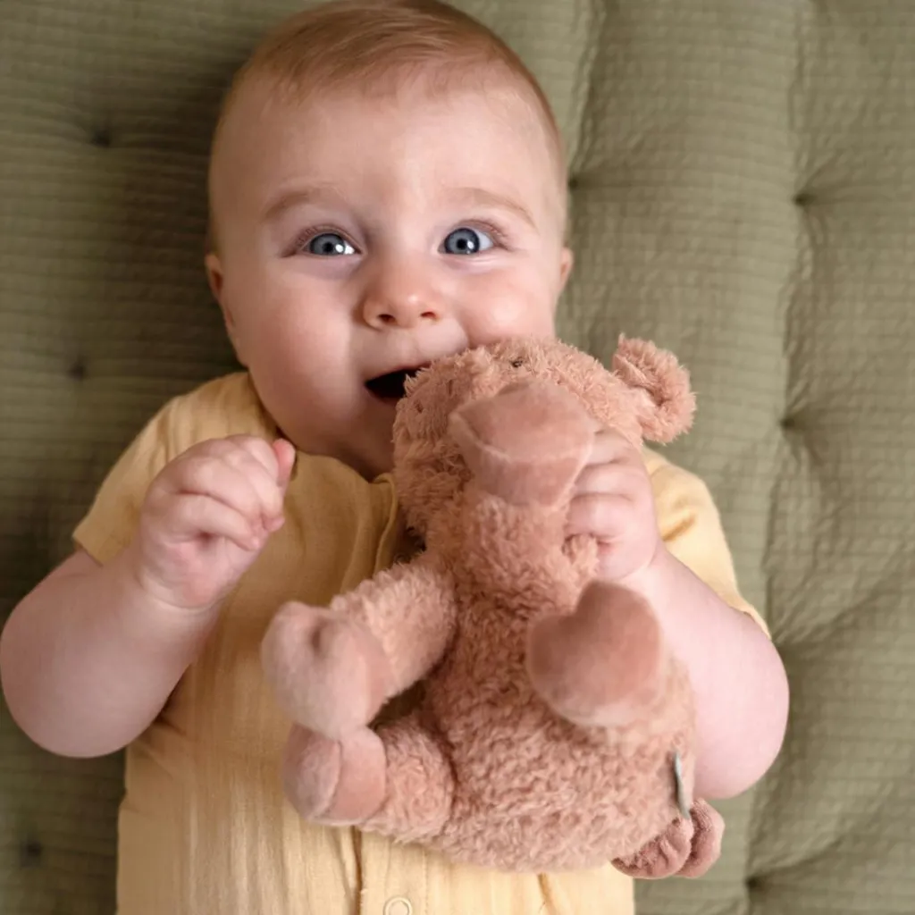 Discount Peluche cochon Little Farm (17 cm) Petite Peluche (< 20 Cm)