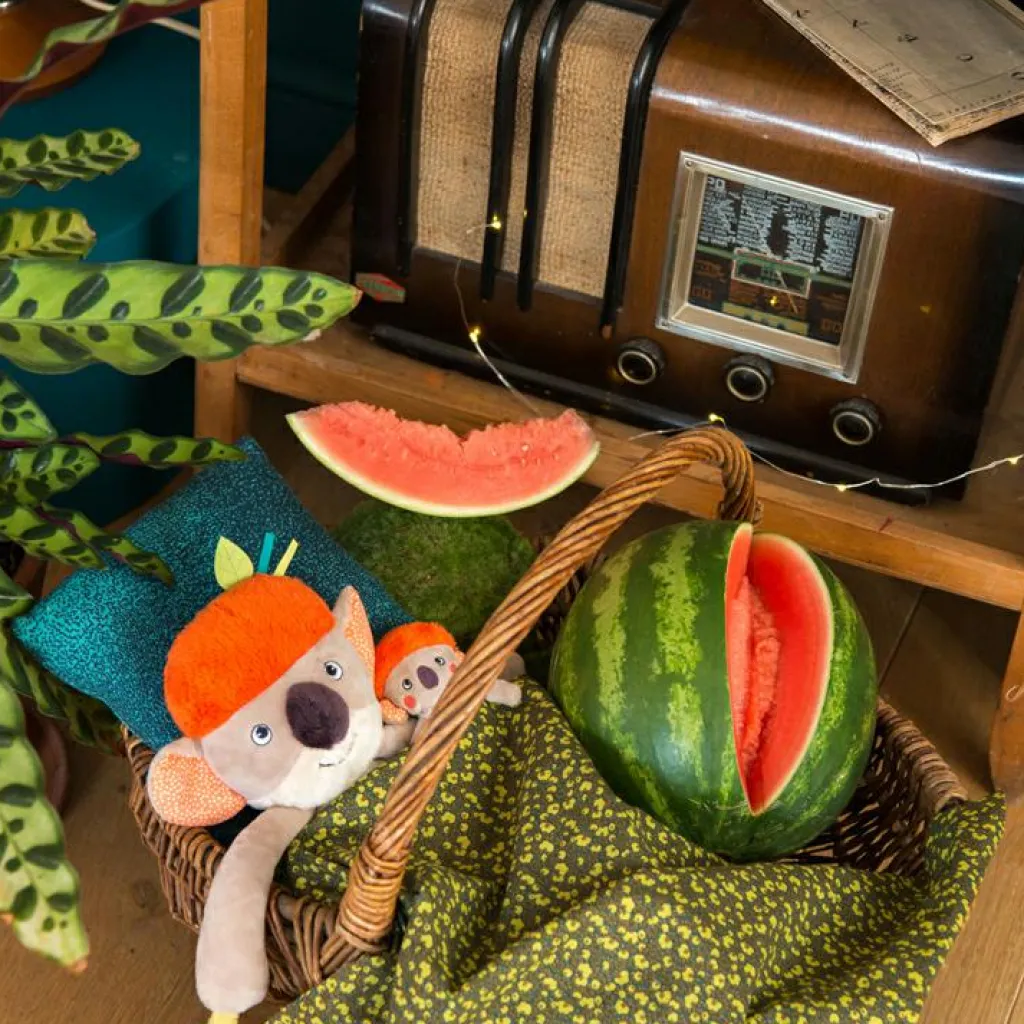 Online Peluche d'activités Koco le koala Dans la Jungle Peluche D'Activités