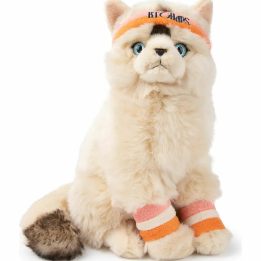Online Peluche Dolly le Ragdoll (32 cm) Peluche Moyenne (20-59 Cm)