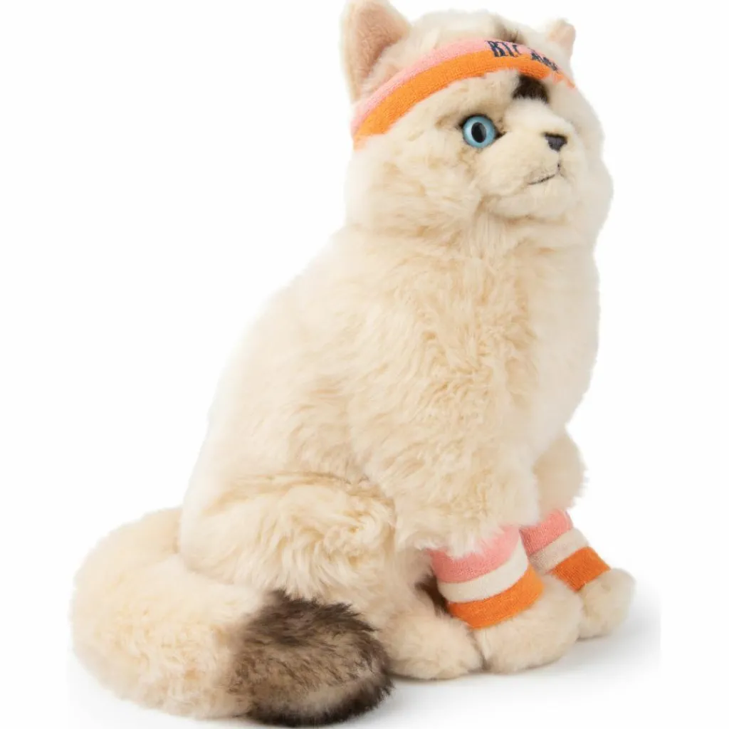 Online Peluche Dolly le Ragdoll (32 cm) Peluche Moyenne (20-59 Cm)