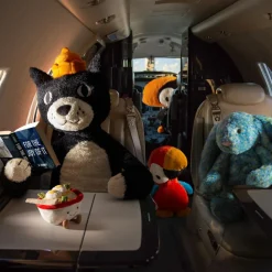 Hot Peluche Jack le chat Original (32 cm) Peluche Moyenne (20-59 Cm)