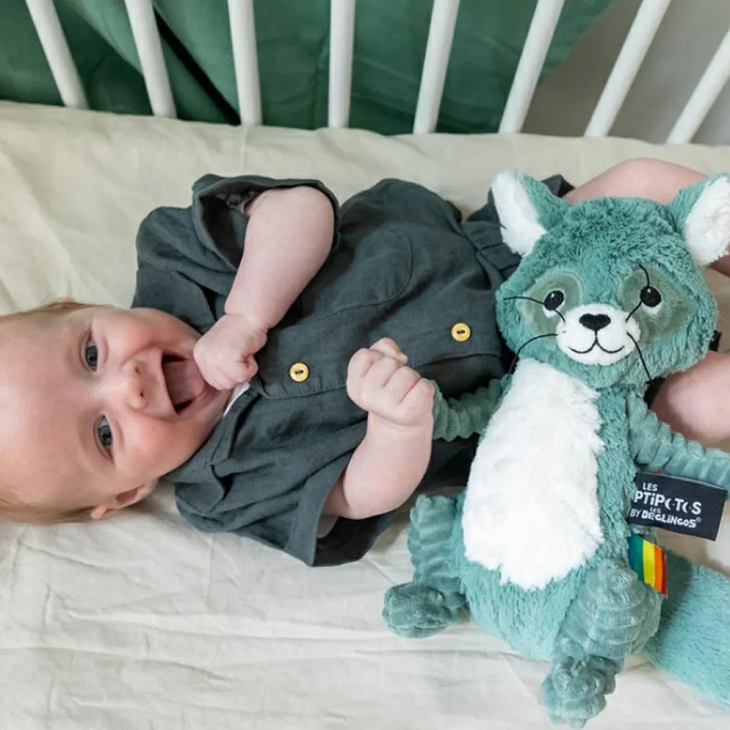 Online Peluche Les Ptipotos Netoitou le raton laveur vert (26 cm) Peluche Moyenne (20-59 Cm)