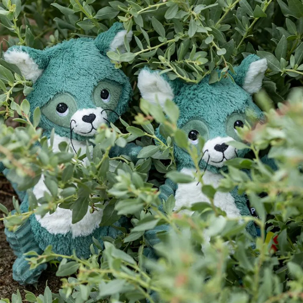 Online Peluche Les Ptipotos Netoitou le raton laveur vert (26 cm) Peluche Moyenne (20-59 Cm)