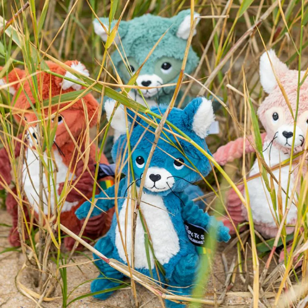 Online Peluche Les Ptipotos Netoitou le raton laveur vert (26 cm) Peluche Moyenne (20-59 Cm)