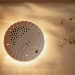 Clearance Peluche musicale et lumineuse Oie Newborn Peluche Musicale