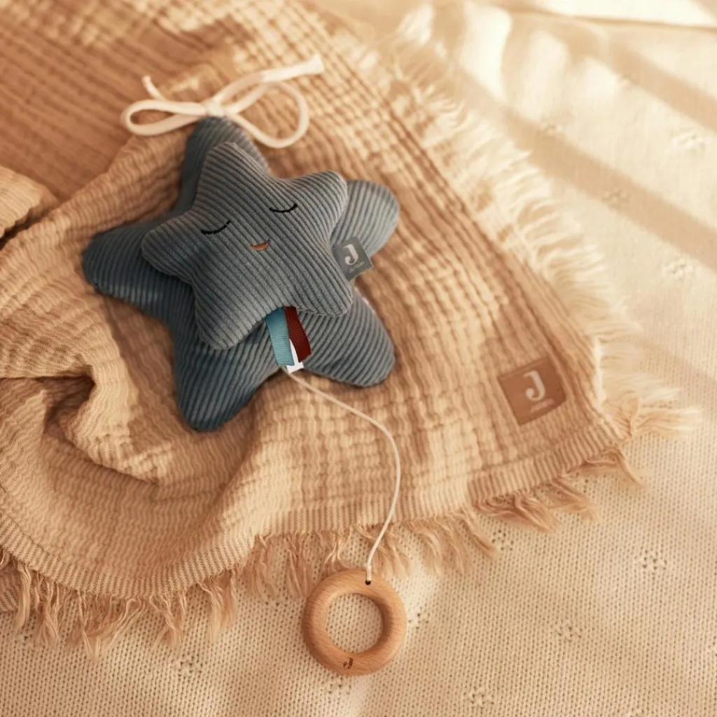 Online Peluche musicale Star Sea Green Peluche Musicale