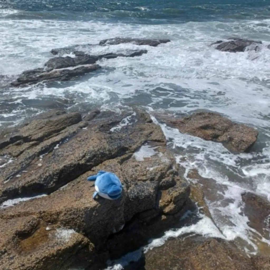 Outlet Peluche Nemu Nemu Flip dauphin (54 cm) Peluche Moyenne (20-59 Cm)