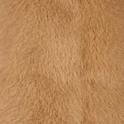 Sale Peluche ours Clémentin Praline Cacahuète (60 cm) Grande Peluche (60 Cm Et +)