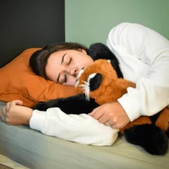 Hot Peluche panda roux lesté PODCOLL (40 cm) Peluche Moyenne (20-59 Cm)