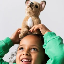 Best Peluche Philippe le Bulldog Français (17 cm) Petite Peluche (< 20 Cm)