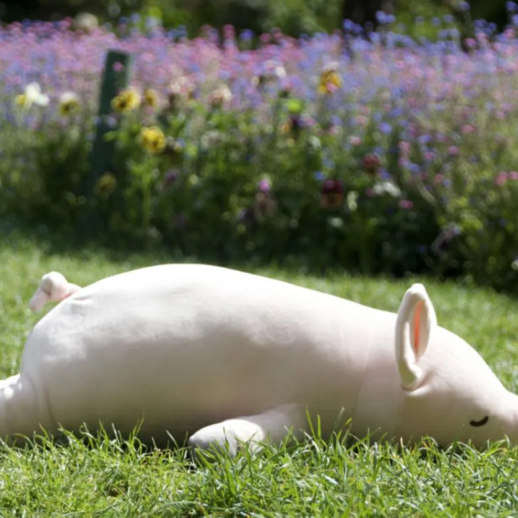 Best Peluche Pinkie le cochon (55 cm) Peluche Moyenne (20-59 Cm)