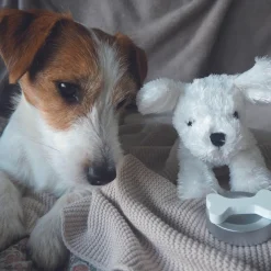 Outlet Petit chien avec son sac Peluche Moyenne (20-59 Cm)