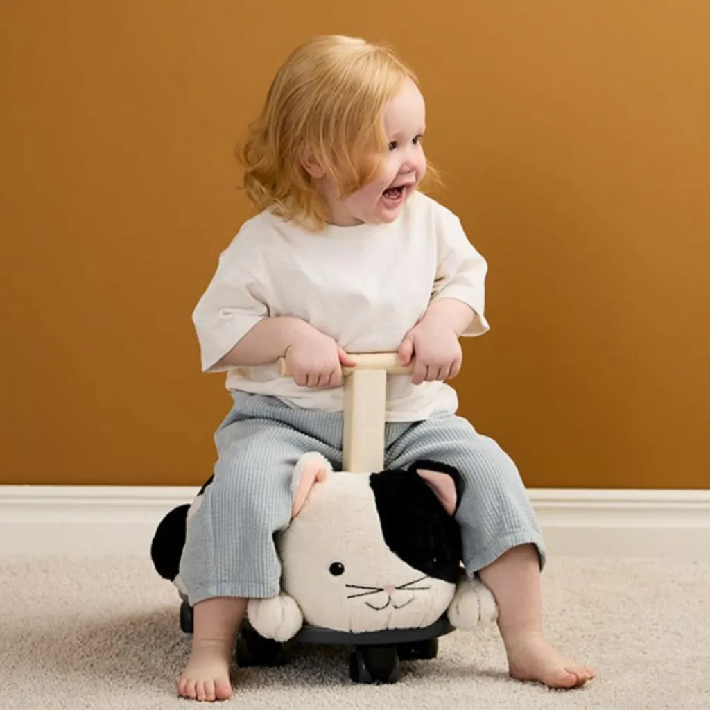 Online Porteur Chat Aiden Porteur