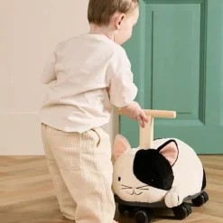 Online Porteur Chat Aiden Porteur