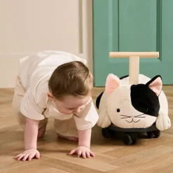 Online Porteur Chat Aiden Porteur