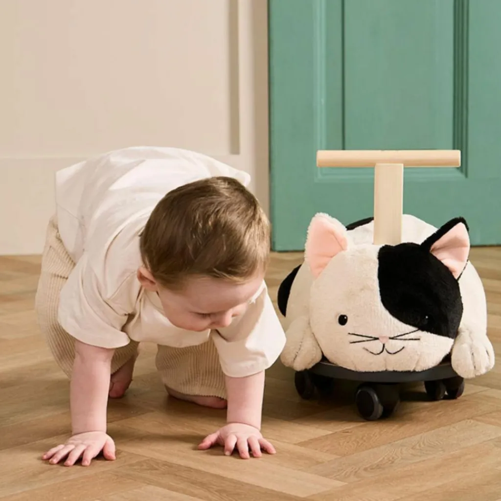 Online Porteur Chat Aiden Porteur