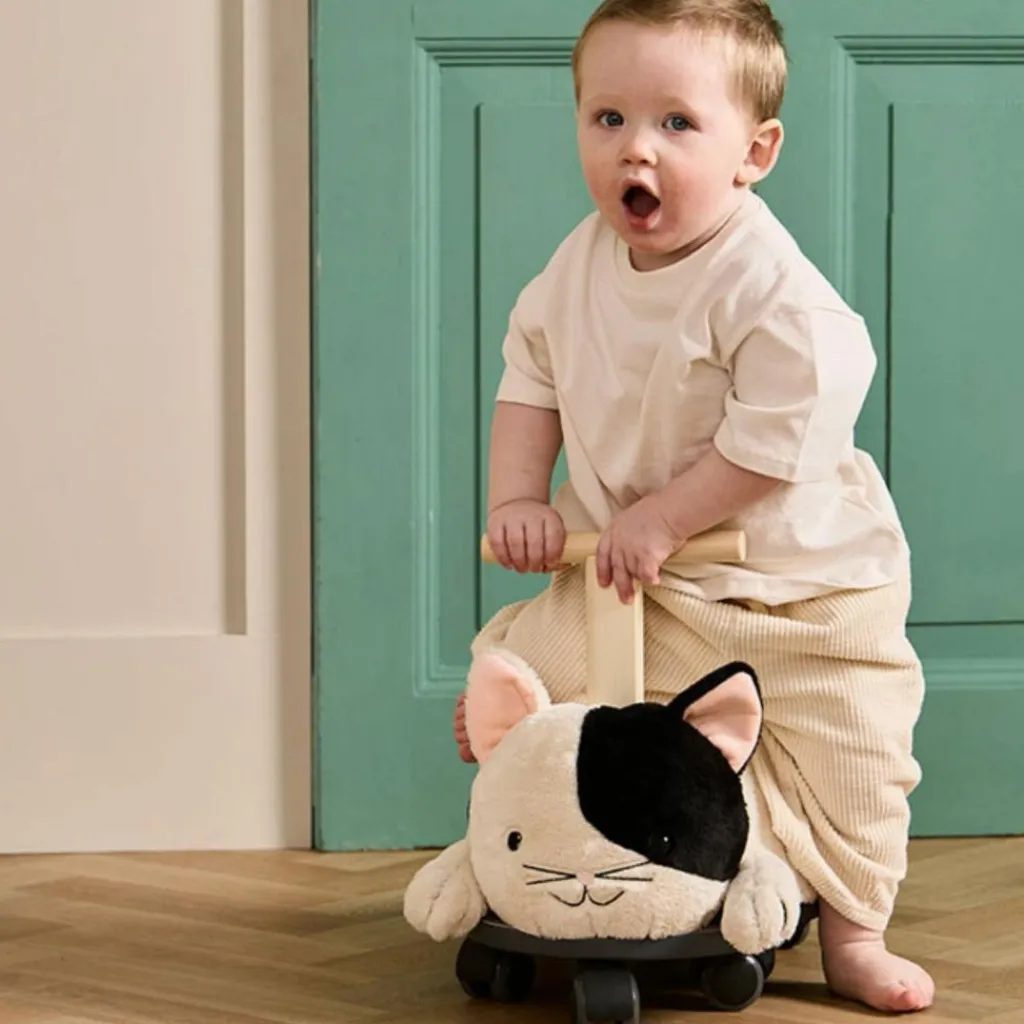 Online Porteur Chat Aiden Porteur