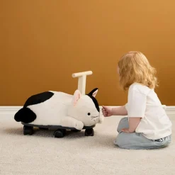 Online Porteur Chat Aiden Porteur