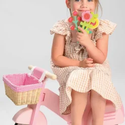 New Porteur Scooter avec panier Draisienne