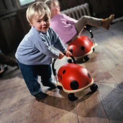 Hot Porteur coccinelle (Grand modèle) Porteur