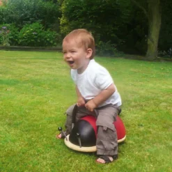 Hot Porteur coccinelle (Grand modèle) Porteur