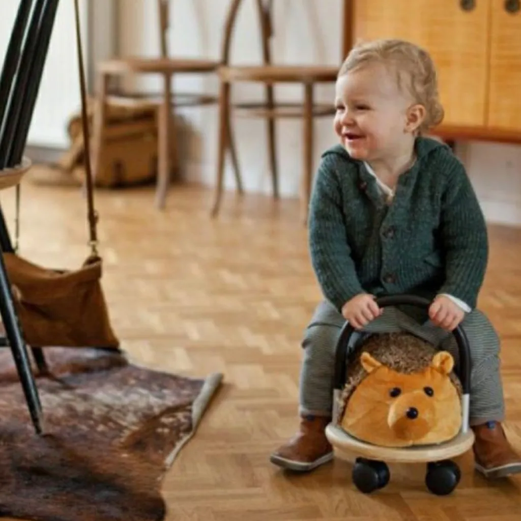 Discount Porteur hérisson (Petit modèle) Porteur