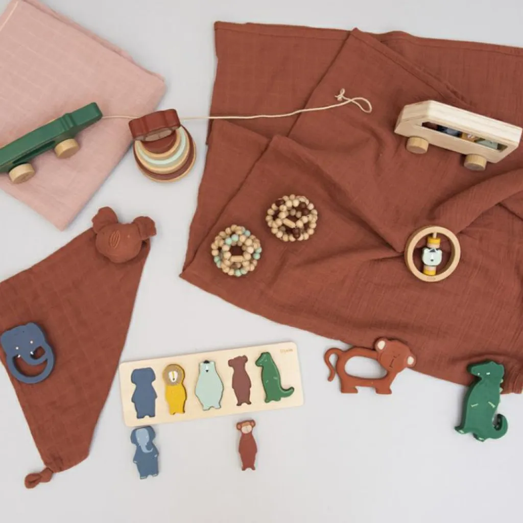 New Puzzle à encastrement en bois Animaux Puzzle